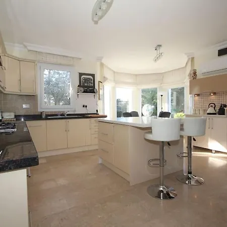 With Fabulous Barbeque House 别墅