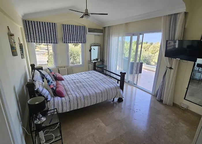 With Fabulous Barbeque House Villa *